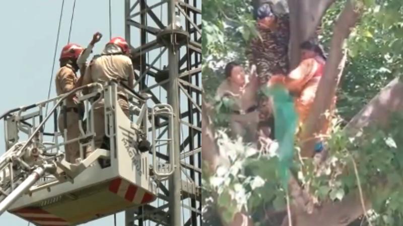 Police used a fire brigade crane to bring one of the protesting farmers back to the ground from the mobile tower, they said.