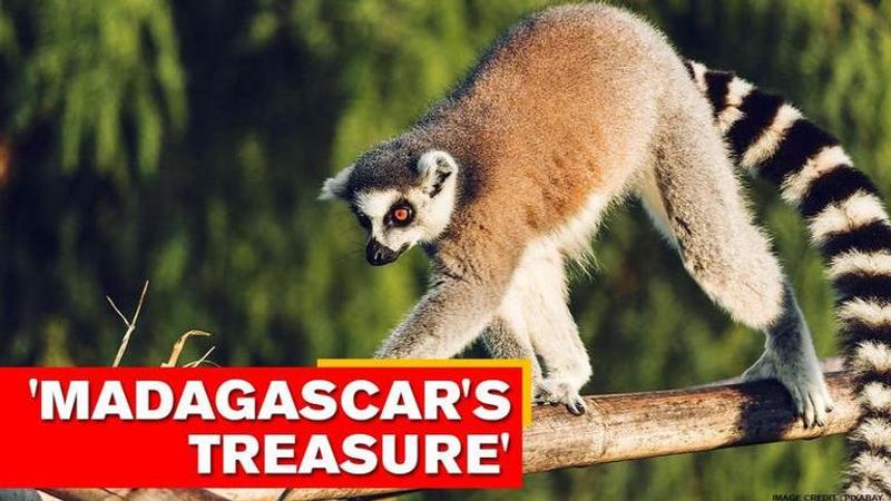 Madagascar