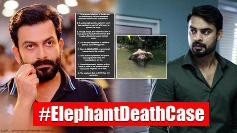 Prithviraj, Tovino Thomas share post clearing 8 'facts' on death of elephant in Kerala