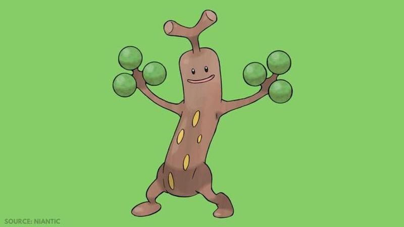 How to catch Sudowoodo in Pokemon GO