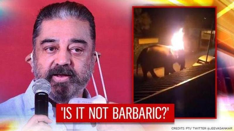 Kamal Haasan reacts strongly as elephant passes away after burning tyre hurled at it