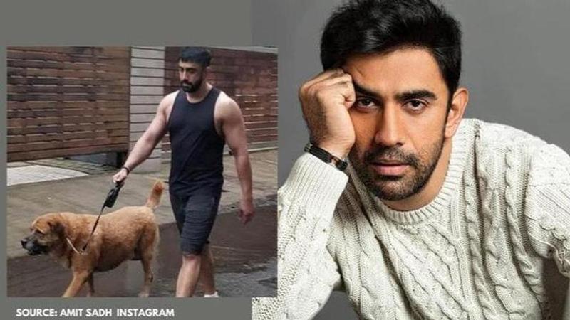 Amit Sadh