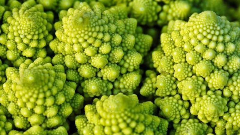 Scientists capture 3,200-megapixel digital photograph of romanesco