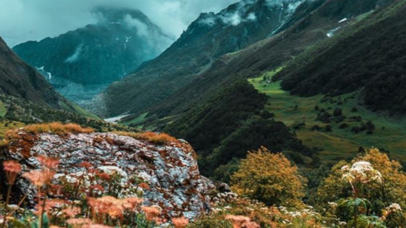 Valley of Flowers