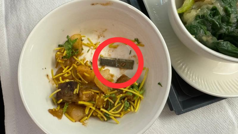 BREAKING: Flyer Finds Metal Blade in On-Flight Meal, Air India Issues Statement