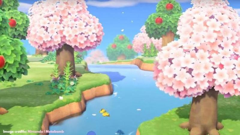 Cherry Blossom Petals in Animal Crossing