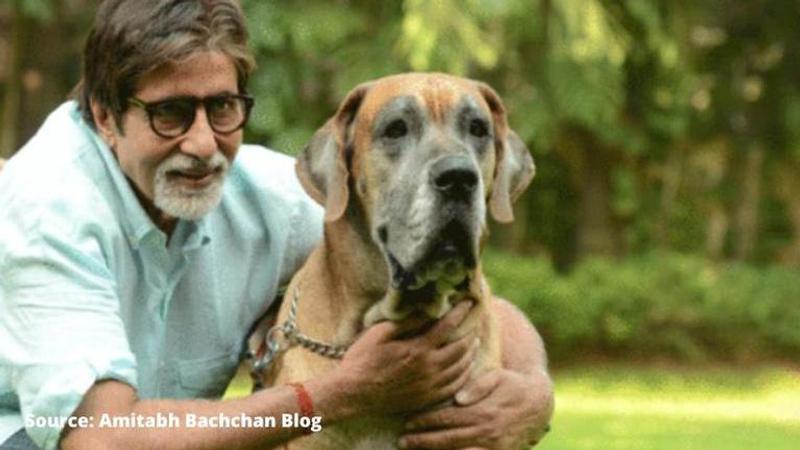 Amitabh Bachchan