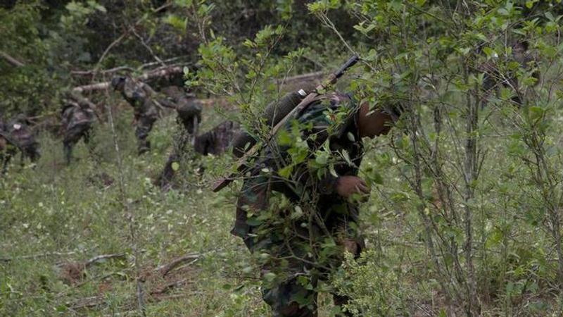 Bolivian coca cultivation jumped by 10% in 2019, UN says