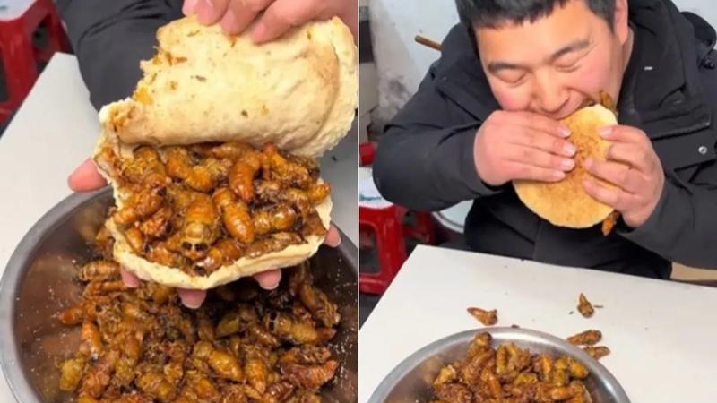 Would You Dare? Chinese Burger Packed With Insects 