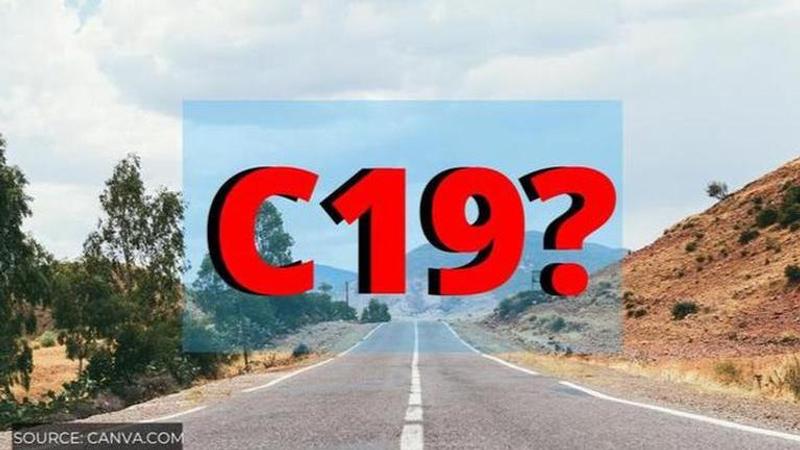 how to apply online for c19 travel request form