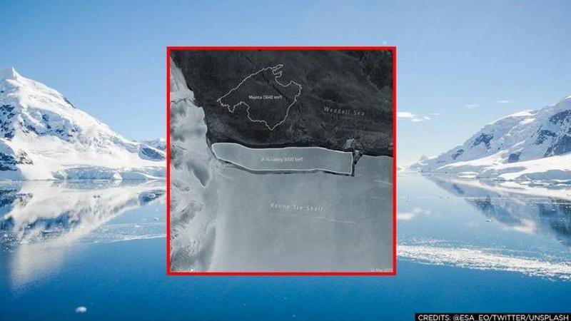 Antarctica