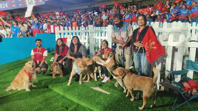 IPL 2024: Dog out initiative of RCB