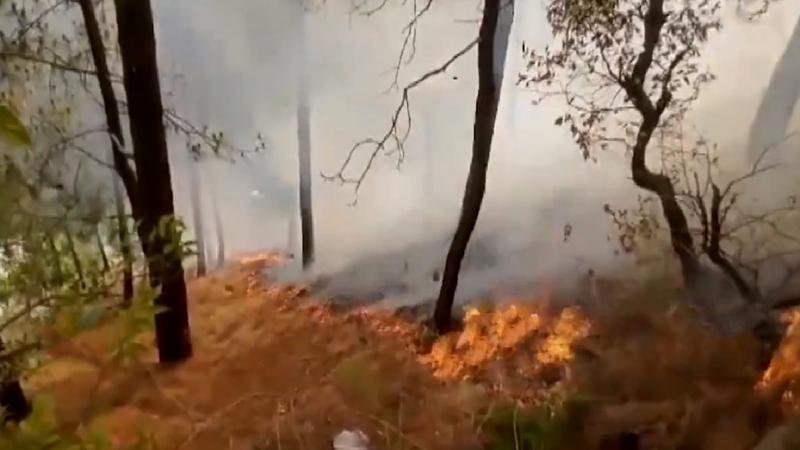 A fire broke out in hills near Neem Karoli Baba Ashram Kainchi Dham in Uttarakhand's Nainital.