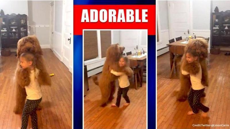 Feeling low? This video of girl dancing with a dog on Twitter is dripping love