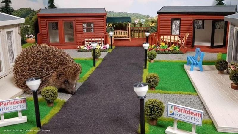 Park for Hedgehogs built to protect the endangered species in the UK is ...