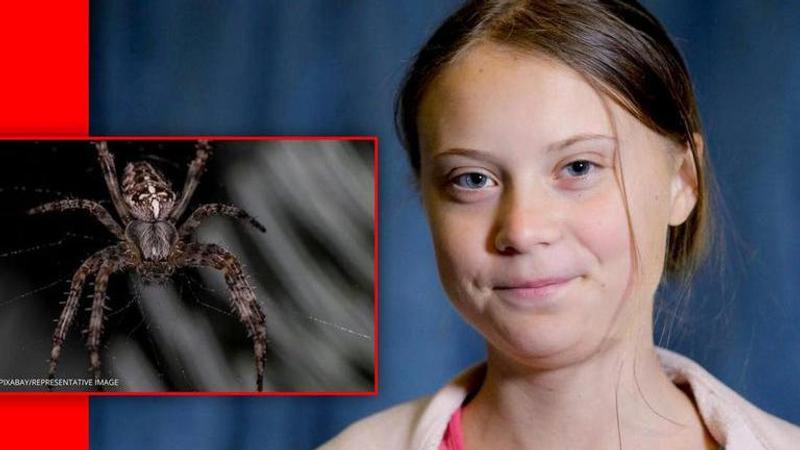 New spider species in Madagascar named after Climate Activist Greta Thunberg