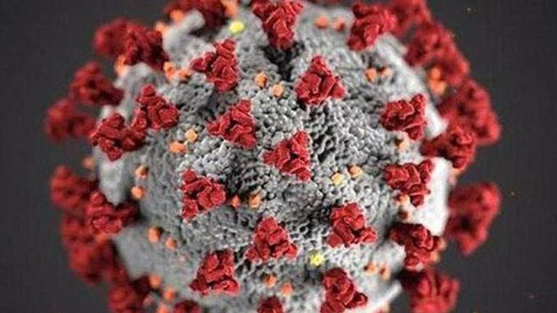 Virus survivor in UK recalls severe deterioration