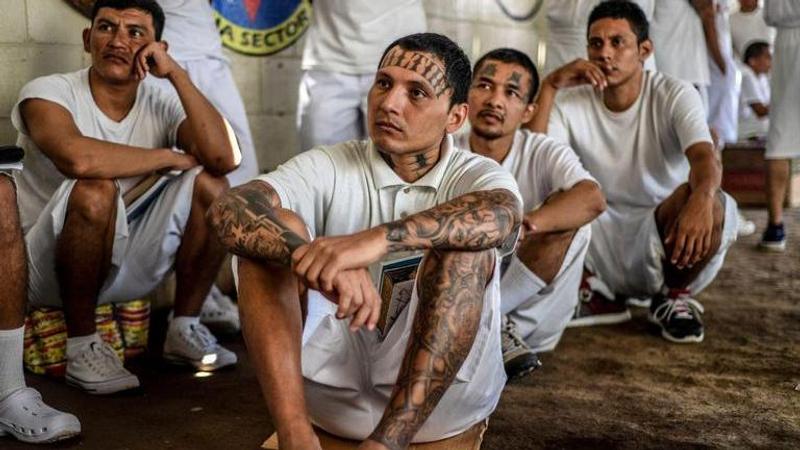 El Salvador: Gang members paraded in front of media reporters