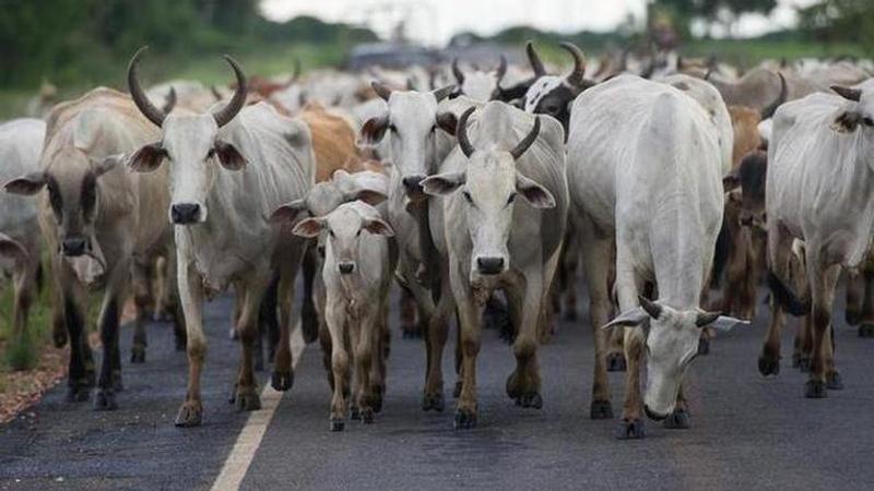 Madhya Pradesh