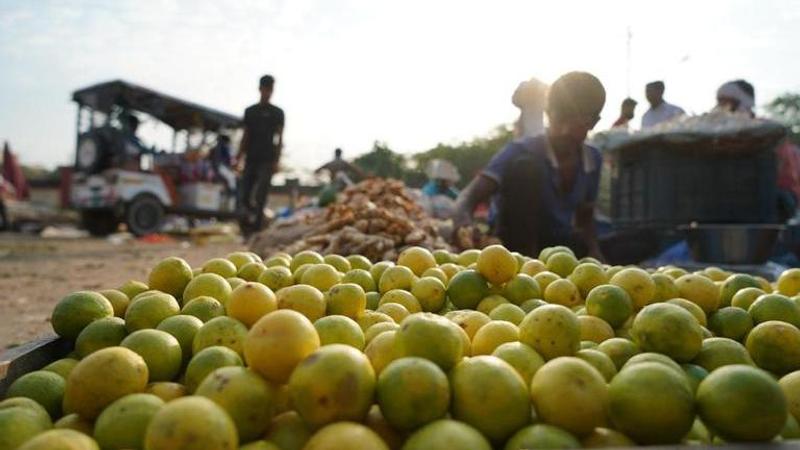 Lemon Price Hike