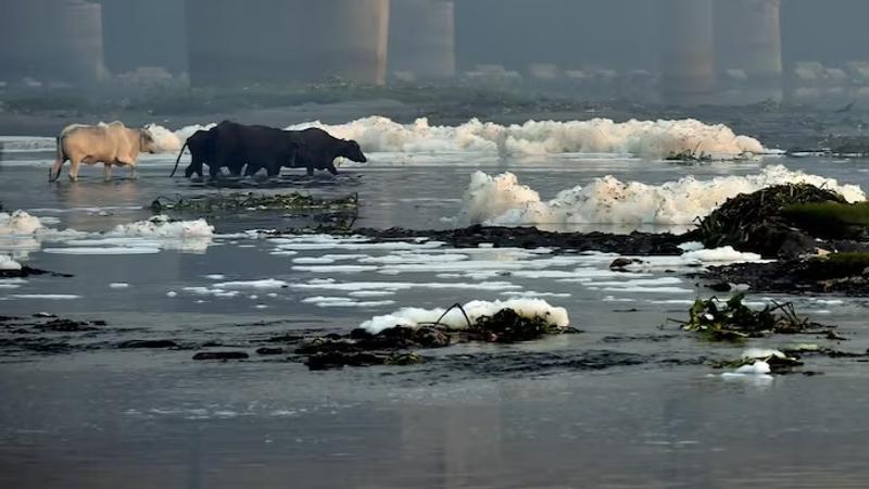 Yamuna in Delhi