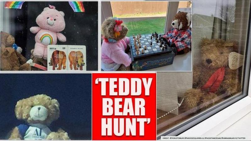 Good News: Global teddy bear hunt gains popularity in DC kids and parents