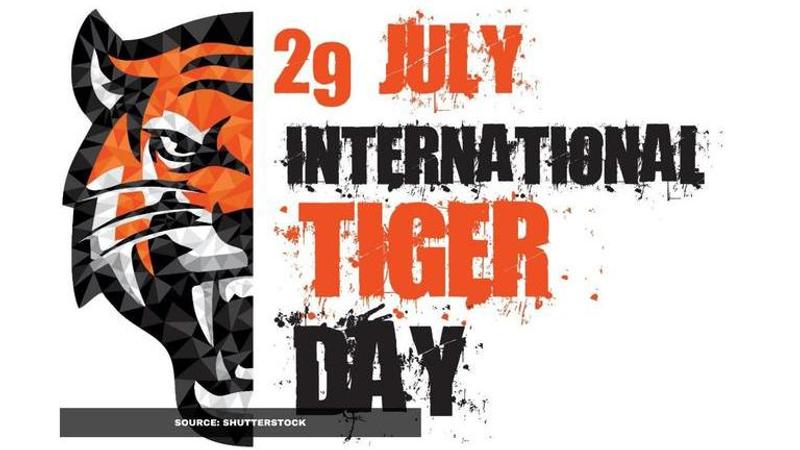 international tiger day posters