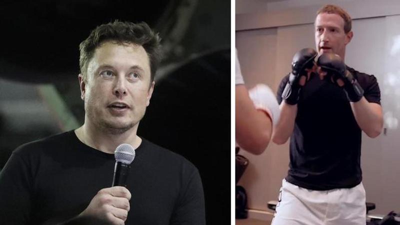 Mark Zuckerberg uses Khabib's famous 'send me location' quote to send warning to Elon Musk