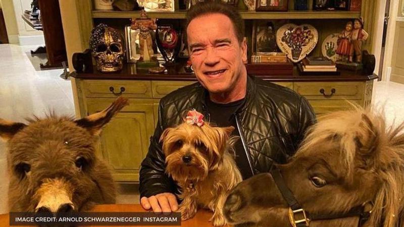 Arnold Schwarzenegger's net worth