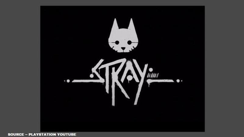 stray