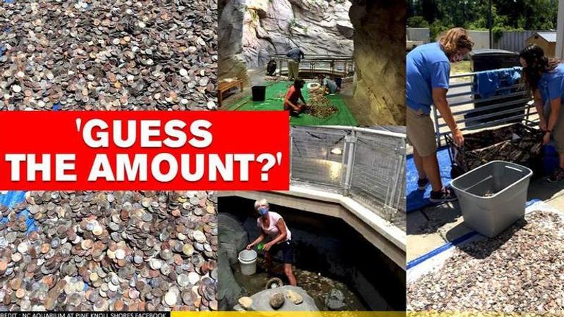 Aquarium collects gallons of wish coins, asks users to guess the amount