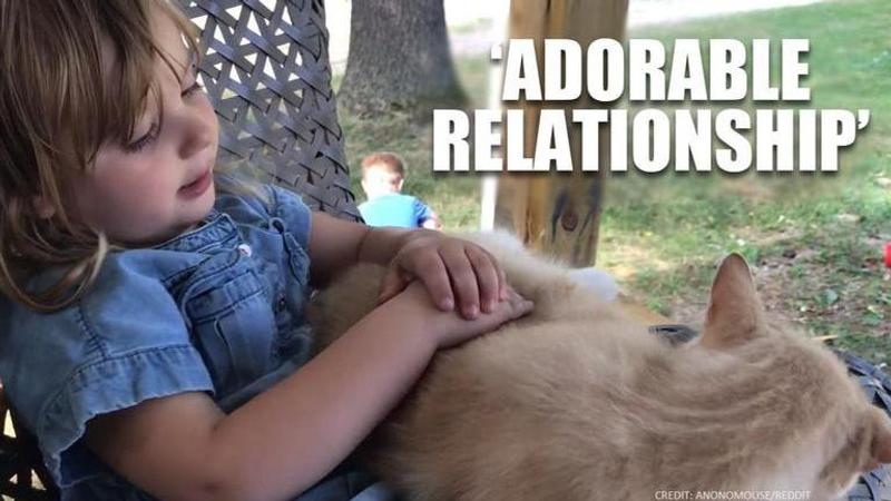 'Adorable friendship' between a girl and her cat wins internet