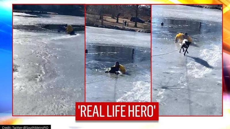 Colorado: Firefighter jumps into partially frozen pond to rescue pup