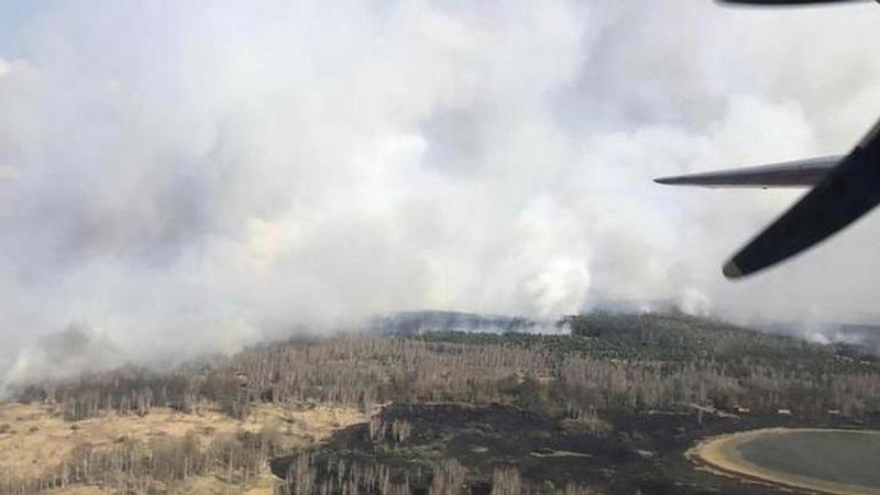 Ukraine forest fire near Chernobyl poses radiation risk: Ukrainian Scientists