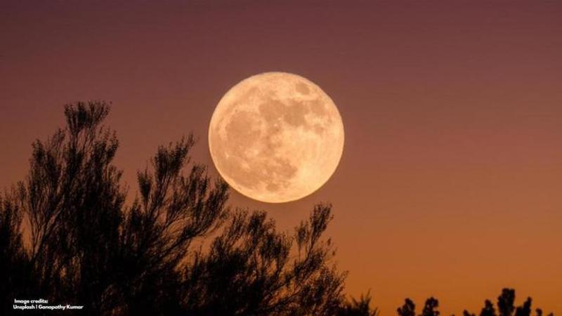 Pink moon in India